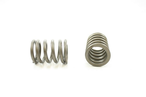 Engine Valve Spring Pioneer RV-1310