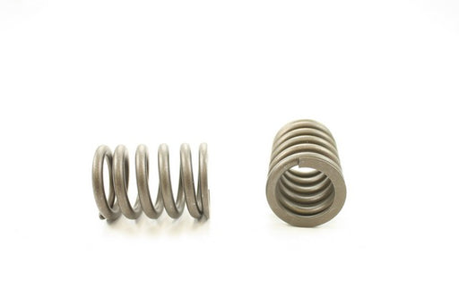 Engine Valve Spring Pioneer RV-1313