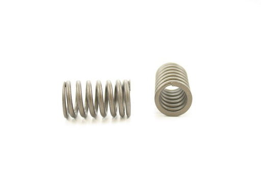Engine Valve Spring Pioneer RV-1314