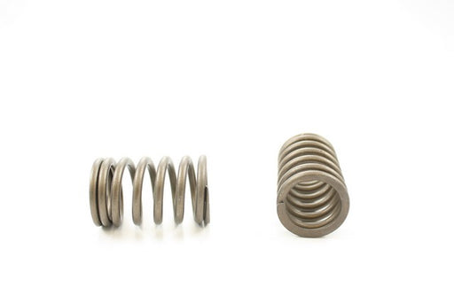 Engine Valve Spring Pioneer RV-1315