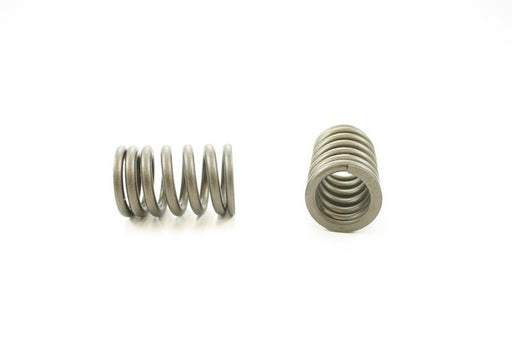 Engine Valve Spring Pioneer RV-1316