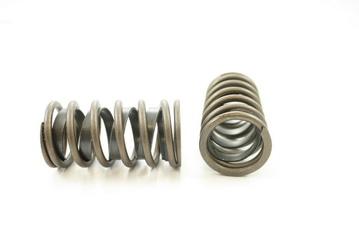 Engine Valve Spring Pioneer RV-1353