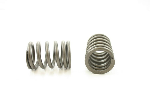 Engine Valve Spring Pioneer RV-1360