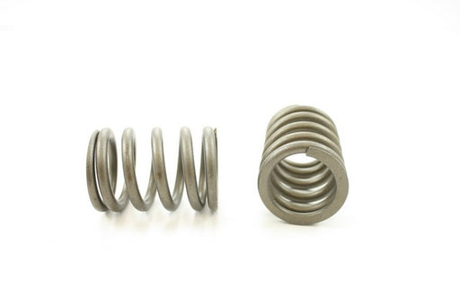 Engine Valve Spring Pioneer RV-1361