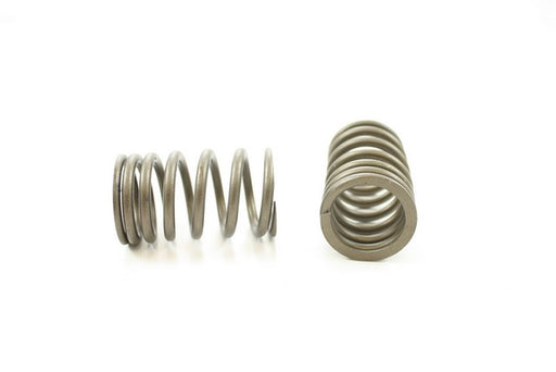 Engine Valve Spring Pioneer RV-1362