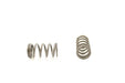 Engine Valve Spring Pioneer RV-1364