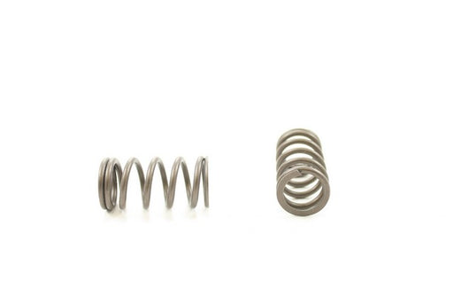 Engine Valve Spring Pioneer RV-1364