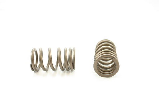 Engine Valve Spring Pioneer RV-1365
