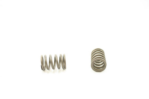 Engine Valve Spring Pioneer RV-1366