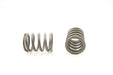 Engine Valve Spring Pioneer RV-1367