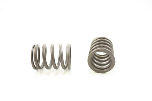 Engine Valve Spring Pioneer RV-1367