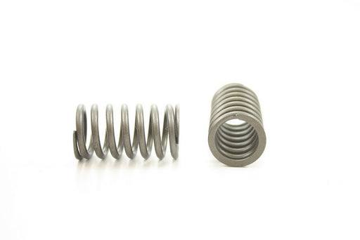 Engine Valve Spring Pioneer RV-1368