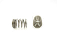 Engine Valve Spring Pioneer RV-1370