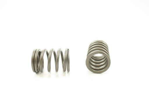 Engine Valve Spring Pioneer RV-1370