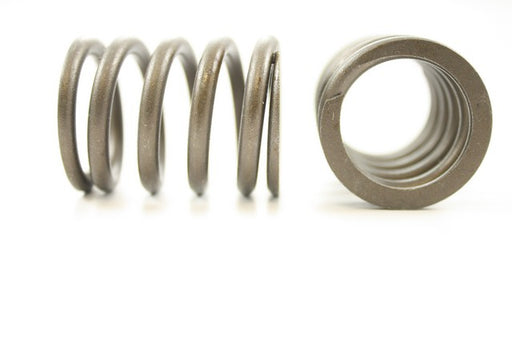 Engine Valve Spring Pioneer RV-1371