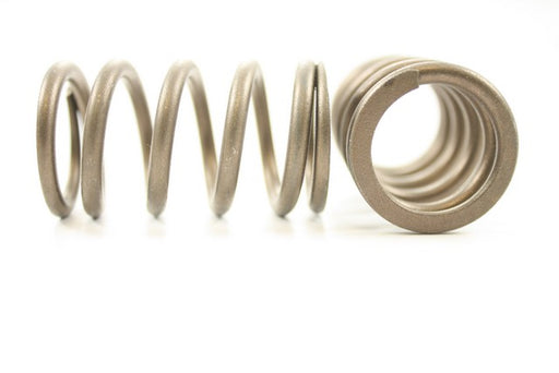 Engine Valve Spring Pioneer RV-1372