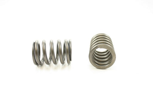 Engine Valve Spring Pioneer RV-1373