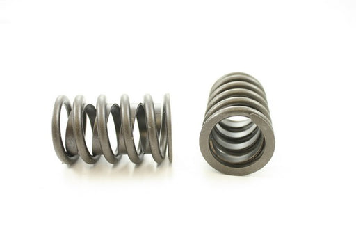Engine Valve Spring Pioneer RV-1378
