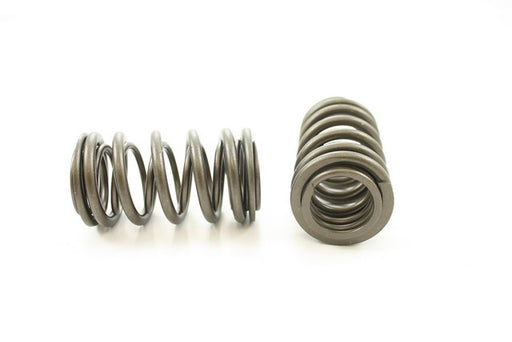 Engine Valve Spring Pioneer RV-1381