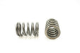 Engine Valve Spring Pioneer RV-1388