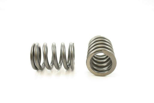 Engine Valve Spring Pioneer RV-1388