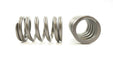 Engine Valve Spring Pioneer RV-1389