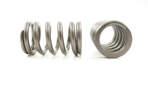 Engine Valve Spring Pioneer RV-1389