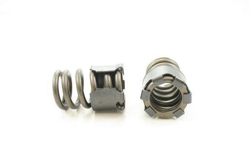 Engine Valve Spring Pioneer RV-1391-X