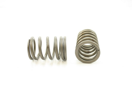 Engine Valve Spring Pioneer RV-1404