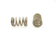 Engine Valve Spring Pioneer RV-1407