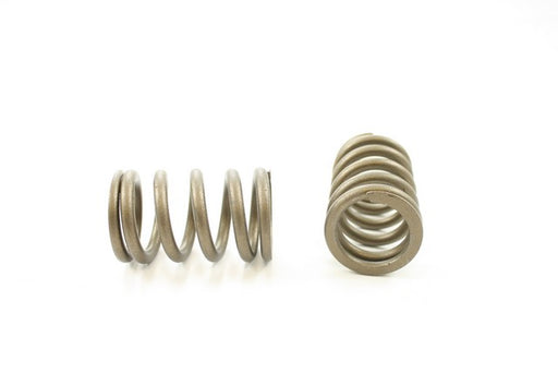 Engine Valve Spring Pioneer RV-1407