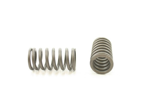 Engine Valve Spring Pioneer RV-1408