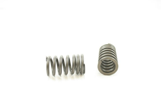 Engine Valve Spring Pioneer RV-1409