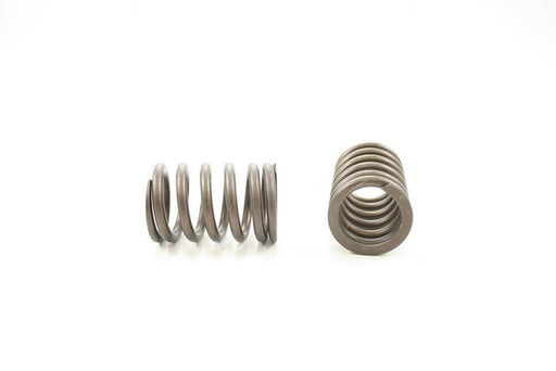 Engine Valve Spring Pioneer RV-1410