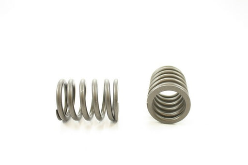 Engine Valve Spring Pioneer RV-1411