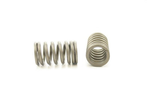 Engine Valve Spring Pioneer RV-1428