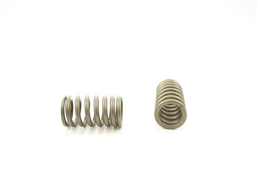 Engine Valve Spring Pioneer RV-1429