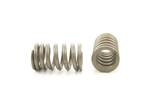 Engine Valve Spring Pioneer RV-1430