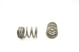 Engine Valve Spring Pioneer RV-1431