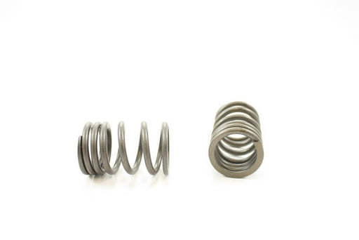 Engine Valve Spring Pioneer RV-1431