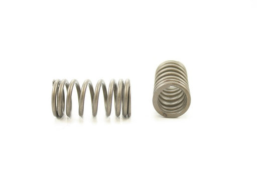 Engine Valve Spring Pioneer RV-1432