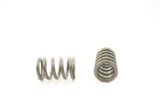 Engine Valve Spring Pioneer RV-1437