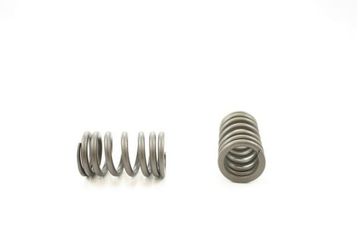 Engine Valve Spring Pioneer RV-1440