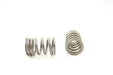 Engine Valve Spring Pioneer RV-1441