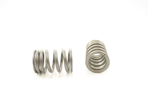 Engine Valve Spring Pioneer RV-1441
