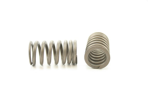 Engine Valve Spring Pioneer RV-1442