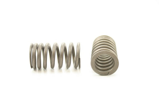 Engine Valve Spring Pioneer RV-1443