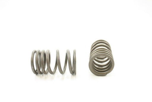 Engine Valve Spring Pioneer RV-1444