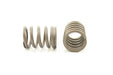 Engine Valve Spring Pioneer RV-1445