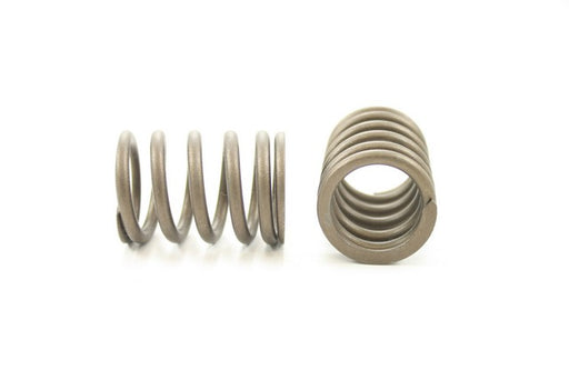 Engine Valve Spring Pioneer RV-1445